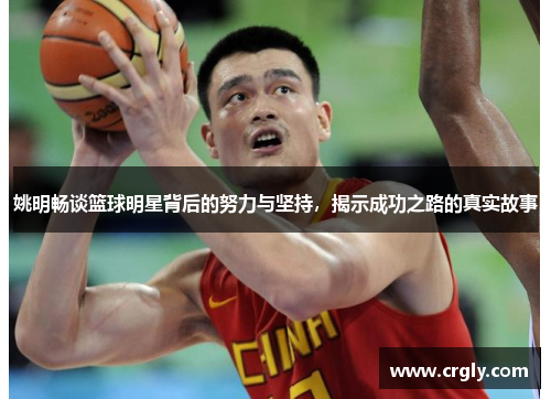 姚明畅谈篮球明星背后的努力与坚持，揭示成功之路的真实故事