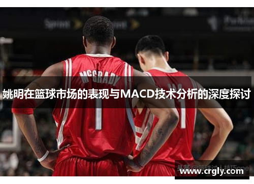 姚明在篮球市场的表现与MACD技术分析的深度探讨